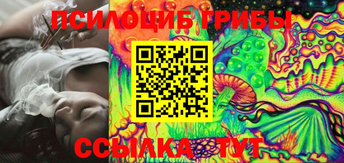 Псилоцибиновые грибы мухоморы  купить закладку  Саяногорск  Вход с VPN 