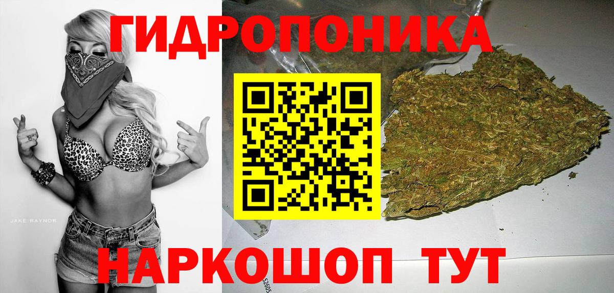 Каннабис индика Саяногорск